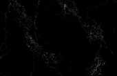 Empira Black