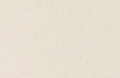 Divinity White